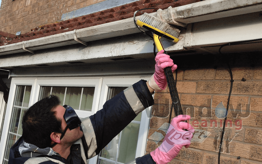 fascia cleaning