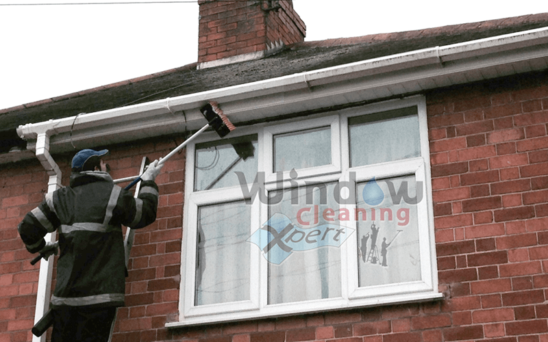 gutter cleaning