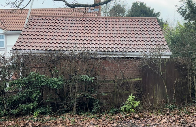 roof cleaning